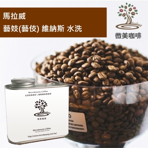 [微美咖啡]罐裝490元,藝妓(藝伎) 維納斯 水洗(馬拉威)淺焙咖啡豆,滿500元免運,新鮮烘焙