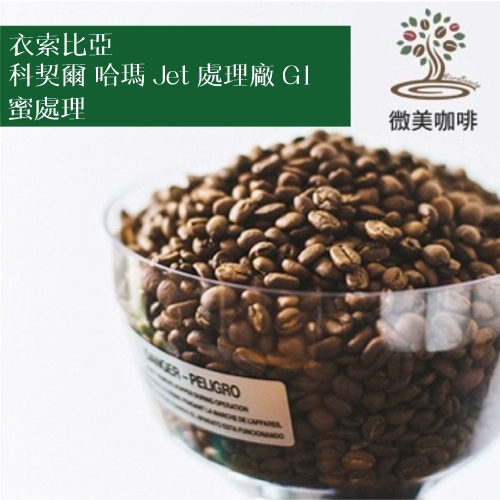 [微美咖啡]1磅650元,科契爾 哈瑪 Jet 處理廠 G1 蜜處理(衣索比亞)淺焙咖啡豆,滿500元免運,新鮮烘焙