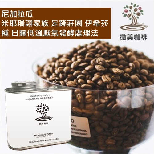 [微美咖啡]罐裝565元,米耶瑞詡家族 足跡莊園 伊希莎種 日曬低溫厭氧發酵處理法(尼加拉瓜)淺焙咖啡豆,新鮮烘焙
