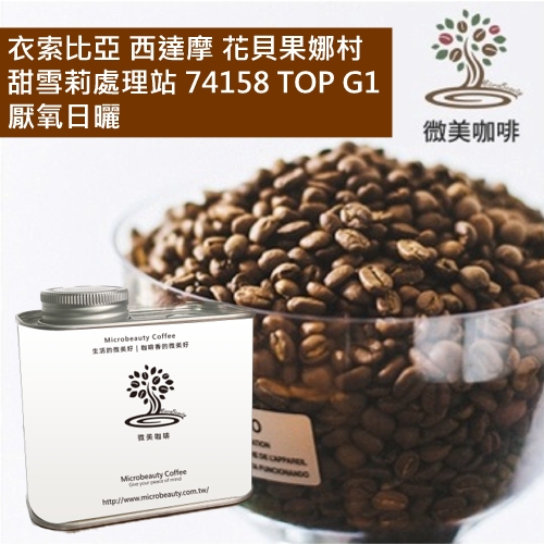 [微美咖啡]罐裝565元,衣索比亞 西達摩 花貝果娜村 甜雪莉處理站 74158 TOP G1 厭氧日曬 淺焙咖啡豆