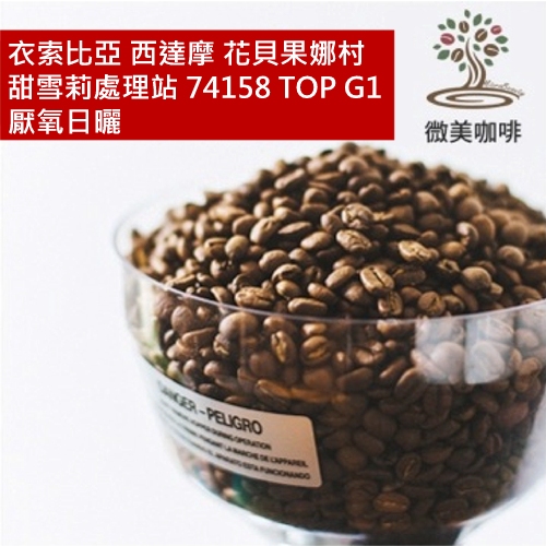 [微美咖啡]半磅475元起,衣索比亞 西達摩 花貝果娜村 甜雪莉處理站 74158 TOP G1 厭氧日曬 淺焙咖啡豆