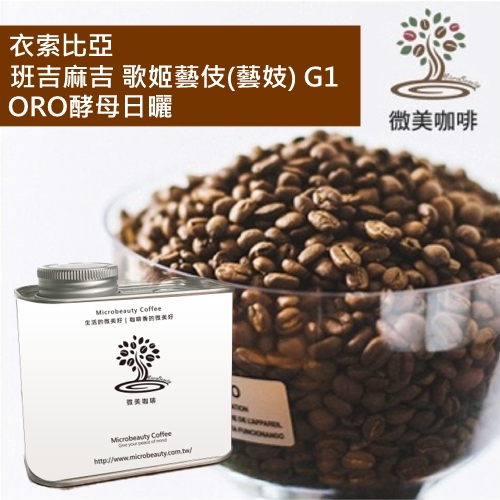 [微美咖啡]罐裝615元,衣索比亞 班吉麻吉 歌姬藝伎(藝妓) G1 ORO酵母日曬 淺焙咖啡豆,新鮮烘焙