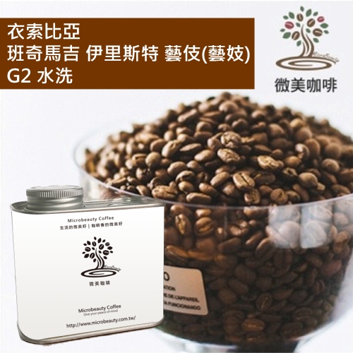 [微美咖啡]罐裝515元,衣索比亞 班奇馬吉 伊里斯特 藝伎(藝妓) G2 水洗 淺焙咖啡豆,新鮮烘焙