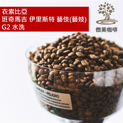 [微美咖啡]半磅425元,衣索比亞 班奇馬吉 伊里斯特 藝伎(藝妓) G2 水洗 淺焙咖啡豆,新鮮烘焙