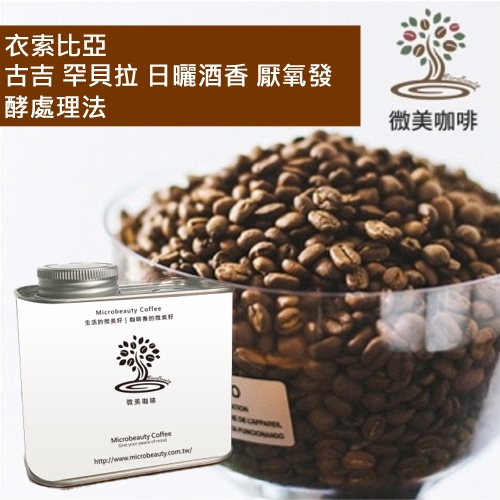 [微美咖啡]罐裝515元,衣索比亞 古吉 罕貝拉 日曬酒香 厭氧發酵處理法 淺焙咖啡豆,新鮮烘焙