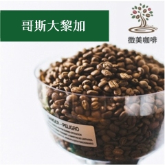 國家 哥斯大黎加